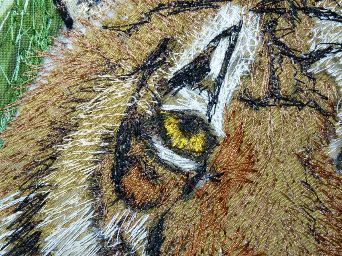 Tiger Detail  